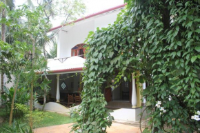 Dionis Villa